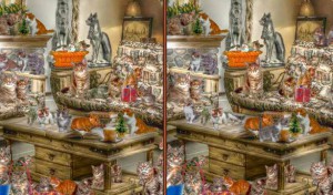 ミステリアス オブ キティルーム