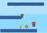 マリオとルイージの落下ゲーム マリオラビドリーフォール