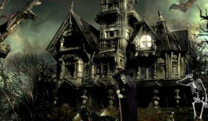 スキャリープレイス