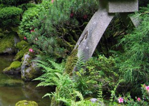 Garden Hidden Numbers