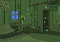Robin House Escape