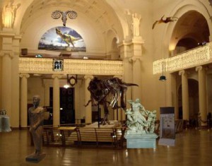 Hidden Objects - Museum