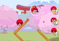 Angry Bird Seek Wife