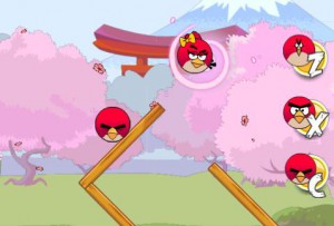Angry Bird Seek Wife