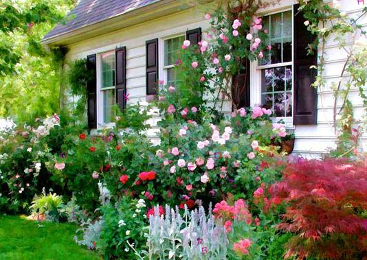 Cottage Garden Hidden Alphabet