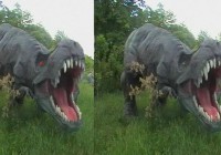 Differences In Dinoland