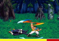 KOF VS Three Kingdom