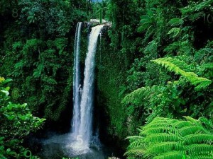 Waterfalls - Find the Numbers