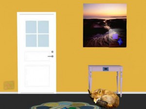 Sleeping Fox Room Escape