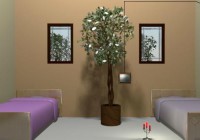 Ficus Room Escape