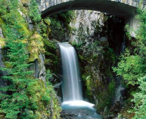 Colorful Chameleon Sniper