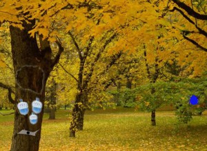 Mysterious Autumn Forest 3