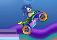 Sonic The Hedgehog Biker