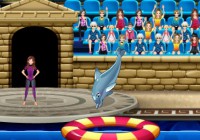 My Dolphin Show 6