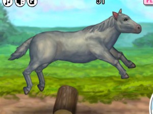 My Brave Horse