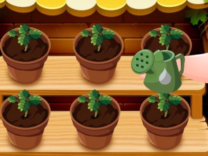 Mia Strawberry Garden