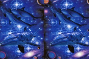 Bright fish 5 Differences