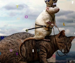 Funny Animals Hidden Alphabet