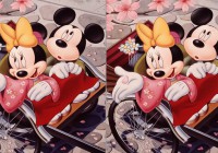 Mickey and Minnie Difference