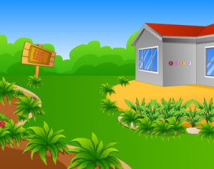 Rabbit Rescue From Well