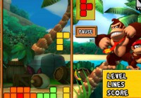 Donkey Kong Tetris