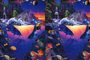 Junior diver 5 differences