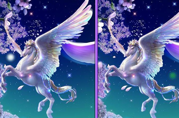 Pegasus Spot the Difference