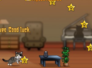 Pirate Cat With Broken Leg