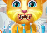 Cat tooth Treatment