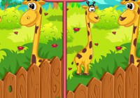 Zoo Animals Differences