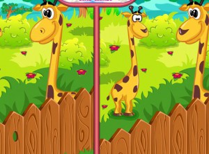 Zoo Animals Differences