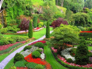 Japanese Garden Hidden Letters