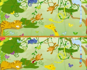 Animal Color Difference