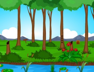 Ostrich Rescue From House