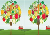 Vegetable Tree Difference