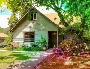 Blue Parrot Cage Escape