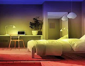 Natty Color House Escape