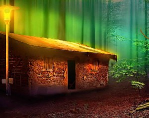 Mushroom House Treasure Rescue