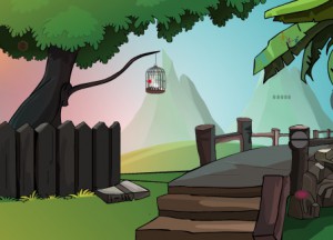 Dove Rescue From Cage