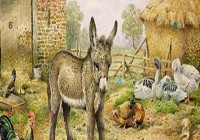 Big Farm Animals Hidden Numbers