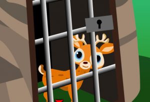 Cute Deer Cub Escape