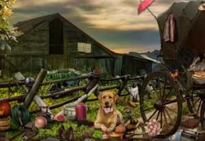 Shelter in the Forest