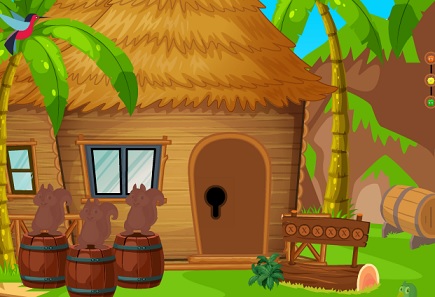 Pirate Boy Escape